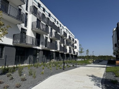 Львівська область, Львів, Шевченківський