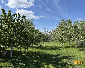 Киев, Луговая (Бортничи) ул.