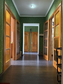 Дніпропетровська область, Дніпро, Центральний