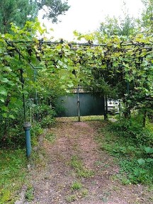 Продаю дачу Соколовський масив