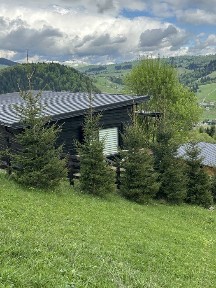 Нерухомість у Карпатах, продаж будинків, Буковель, Верховина.