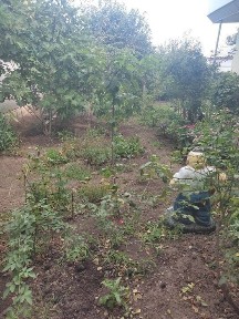 Одеська область, Одеса, Київський