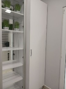 Рівненська область, Рівне