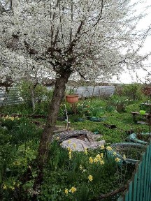 Продаж будинку Херсонська область