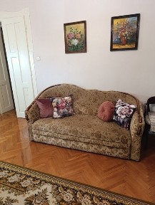 Однокомнатная квартира в особняке в центре