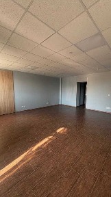 Київська область, Буча