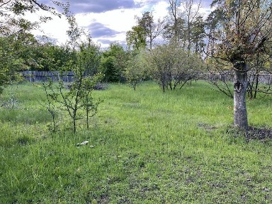 Київська область, Ворзель