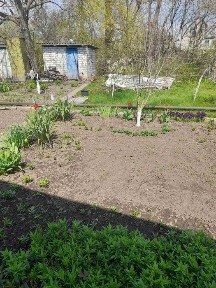 Дача с поливом, р-н Власовка. Торг.