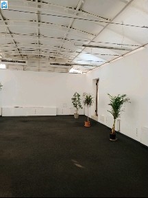 Київ вул Володимирська 77 а