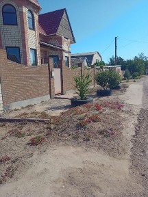 Продам дом в лиманах / Лиманы / Лимани