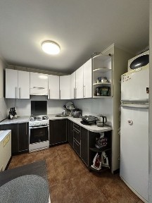 Запорізька область, Запоріжжя, Вознесенівський