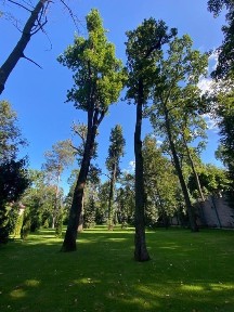 Здається розкішний будинок з ділянкою 60 соток в Ворзелі від власника