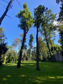 Здається розкішний будинок з ділянкою 60 соток в Ворзелі від власника