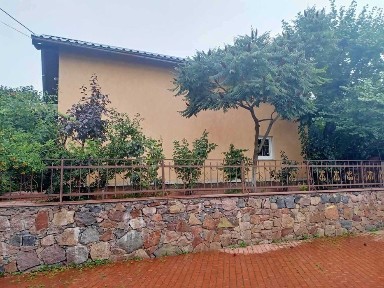 Київська область, Софіївська Борщагівка