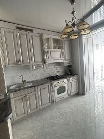 Київська область, Софіївська Борщагівка