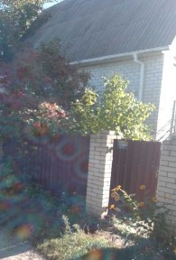 Київська область, Скибин