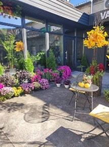 Здам в оренду комерційне приміщення в Тульчині