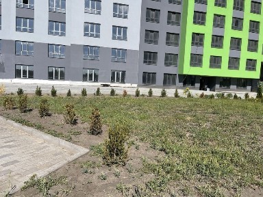 Київська область, Київ, Дарницький