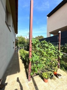 Закарпатська область, Ужгород