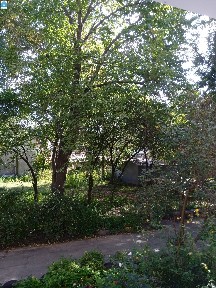 Квартира, Слов'янка, 2 кімнати, вул. Пирогова