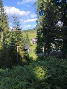 Продам половину будинку в Карпатах, І-Франківська об. с. Яблуниця