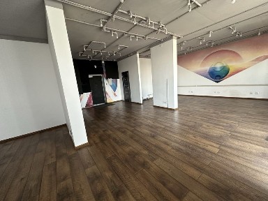 Київська область, Київ, Печерський