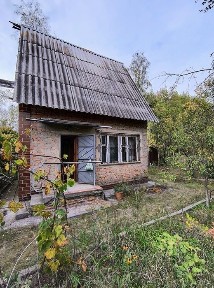 Дача поруч з сосновим лісом!