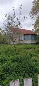 Продається будинок в селі Будичани, Житомирський район.