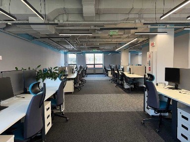 Київська область, Київ, Голосіївський