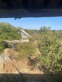 будинок, дача з землею н. п Паліівка