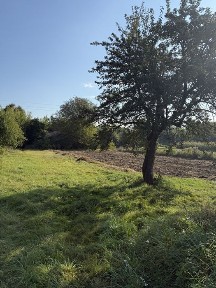 Продаж землі та старого будинку В Омеляна