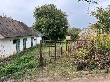 Будинок, Вільшана, земельна ділянка