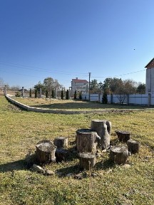 Продам житловий будинок садибного типу з великою територією