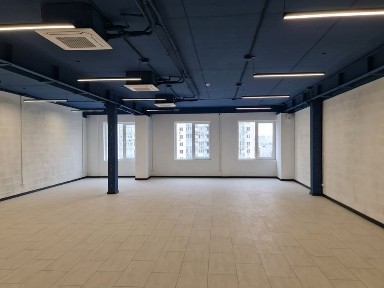 Київська область, Київ, Шевченківський