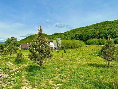 Продажа унікального обєкта, в мальовничому куточку Закарпаття!