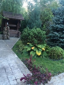 Дом в тихом уютном микрорайоне