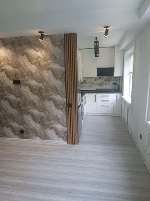 Дніпропетровська область, Кам'янське