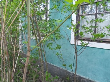 Продаж 3 кімнатного будинку