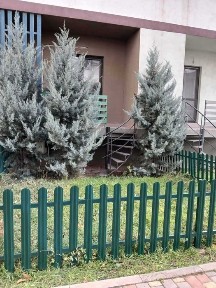 Одеська область, Крижанівка