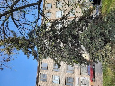 Дніпропетровська область, Дніпро, Індустріальний