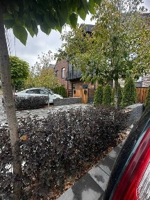 Київська область, Буча