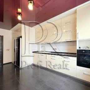 Киев, Борщаговская ул., 206