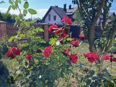 5-к, вул. Юності, Микитинці