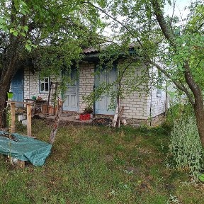 Київська область, Ясногородка