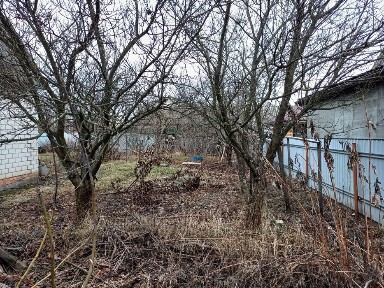 Продам или обменяю дачу, с. Щербаки, кооп. 