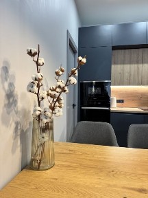 Київська область, Святопетрівське