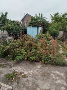 Продается 1/2дома на Таврическом.