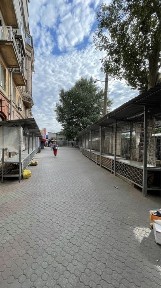 Дніпропетровська область, Дніпро, Центральний