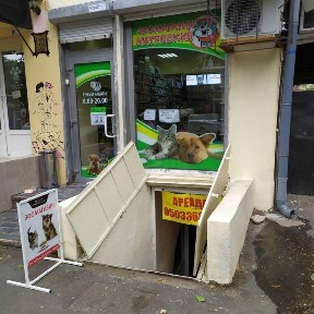 Одеська область, Одеса, Приморський