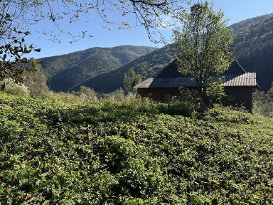 С. Мерешор продається ділянка з будинком